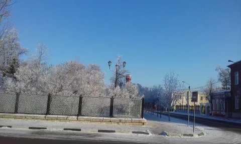 Иней на деревьях Городского парка. Фото: ALIGOR1997, CC BY-SA 4.0.