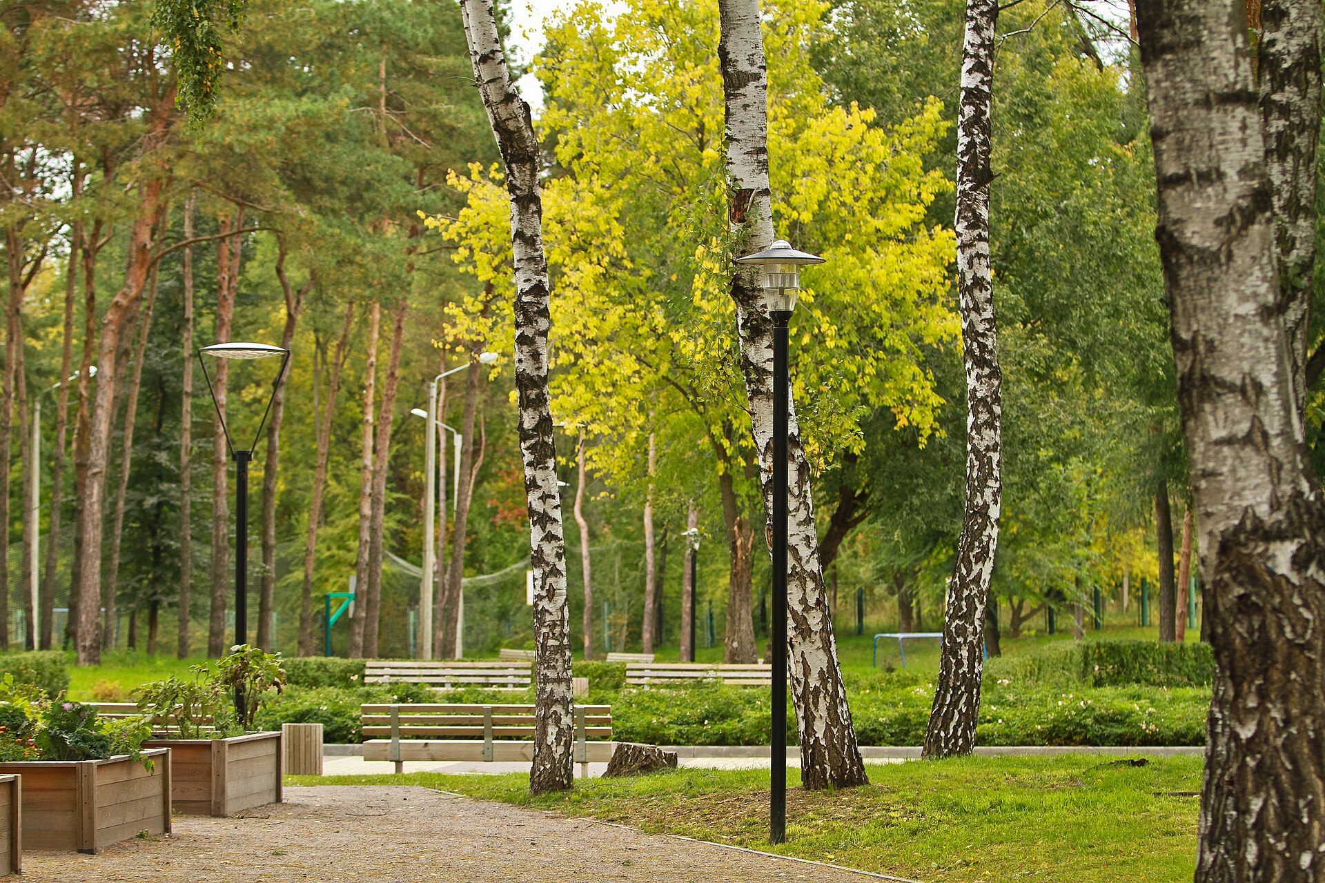 Аллея парка «Алые паруса». Фото: Козинцев, CC BY-SA 4.0. — Парк «Алые паруса» в Воронеже